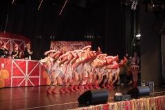 180211 - Kinderkappensitzung