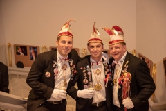 190302 - DNZ - Prunksitzung