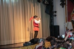 190302 - DNZ - Prunksitzung