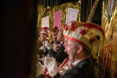 190302 - DNZ - Prunksitzung