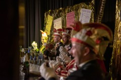 190302 - DNZ - Prunksitzung
