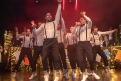 190302 - DNZ - Prunksitzung