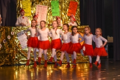 190303 - DNZ - Kinderkappensitzung