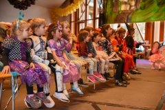 190303 - DNZ - Kinderkappensitzung