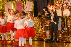 190303 - DNZ - Kinderkappensitzung