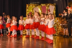 190303 - DNZ - Kinderkappensitzung