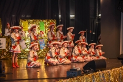 190303 - DNZ - Kinderkappensitzung