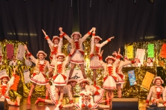 190303 - DNZ - Kinderkappensitzung