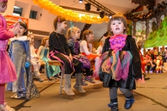 190303 - DNZ - Kinderkappensitzung