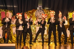 190303 - DNZ - Kinderkappensitzung