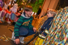 190303 - DNZ - Kinderkappensitzung