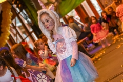 190303 - DNZ - Kinderkappensitzung