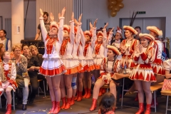 190303 - DNZ - Kinderkappensitzung