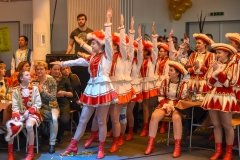 190303 - DNZ - Kinderkappensitzung
