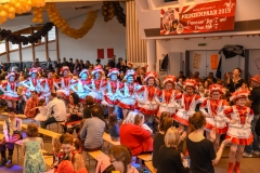 190303 - DNZ - Kinderkappensitzung