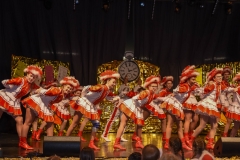 190303 - DNZ - Kinderkappensitzung