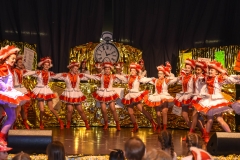190303 - DNZ - Kinderkappensitzung