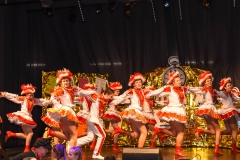 190303 - DNZ - Kinderkappensitzung