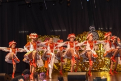 190303 - DNZ - Kinderkappensitzung