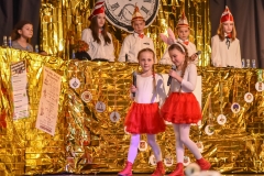 190303 - DNZ - Kinderkappensitzung