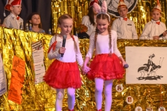 190303 - DNZ - Kinderkappensitzung