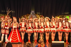 190303 - DNZ - Kinderkappensitzung