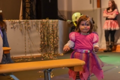 190303 - DNZ - Kinderkappensitzung