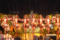 190303 - DNZ - Kinderkappensitzung