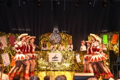 190303 - DNZ - Kinderkappensitzung