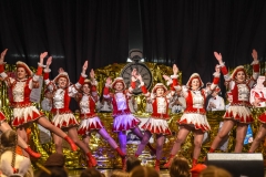 190303 - DNZ - Kinderkappensitzung