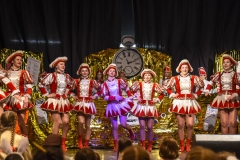 190303 - DNZ - Kinderkappensitzung