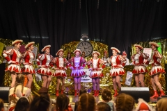 190303 - DNZ - Kinderkappensitzung