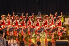 190303 - DNZ - Kinderkappensitzung