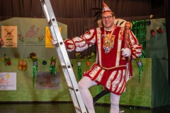 200222 - DNZ - Prunksitzung