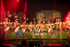 200222 - DNZ - Prunksitzung
