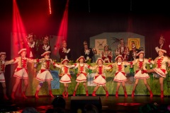 200222 - DNZ - Prunksitzung