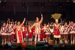 200222 - DNZ - Prunksitzung