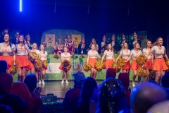 200222 - DNZ - Prunksitzung