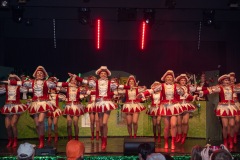 200222 - DNZ - Prunksitzung