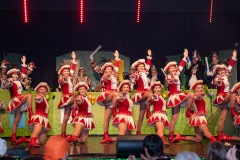 200222 - DNZ - Prunksitzung