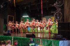 200223 - DNZ - Kinderkappensitzung