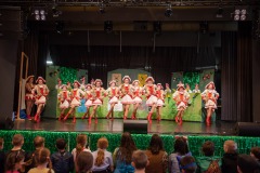 200223 - DNZ - Kinderkappensitzung