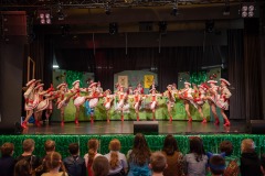 200223 - DNZ - Kinderkappensitzung