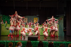 200223 - DNZ - Kinderkappensitzung