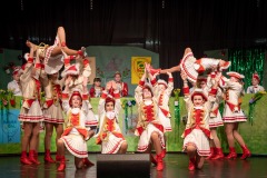 200223 - DNZ - Kinderkappensitzung