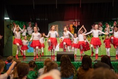 200223 - DNZ - Kinderkappensitzung