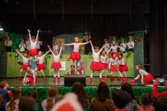 200223 - DNZ - Kinderkappensitzung