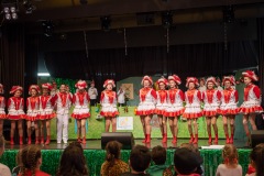 200223 - DNZ - Kinderkappensitzung