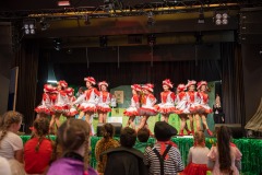 200223 - DNZ - Kinderkappensitzung