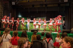 200223 - DNZ - Kinderkappensitzung